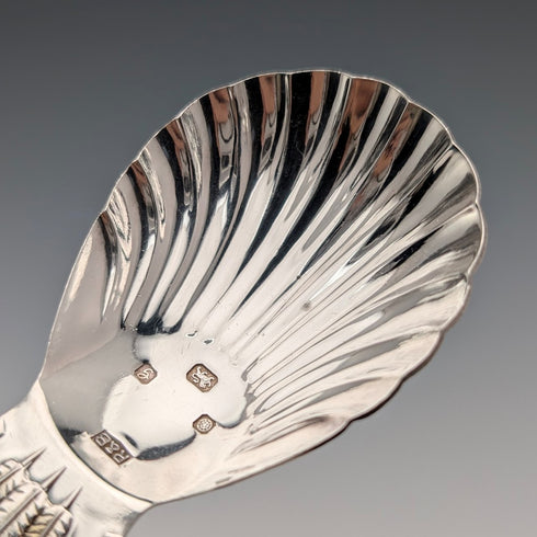 1981 British vintage sterling silver tea caddy spoon Roberts & Belk